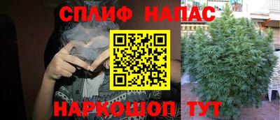 дмт Обнинск