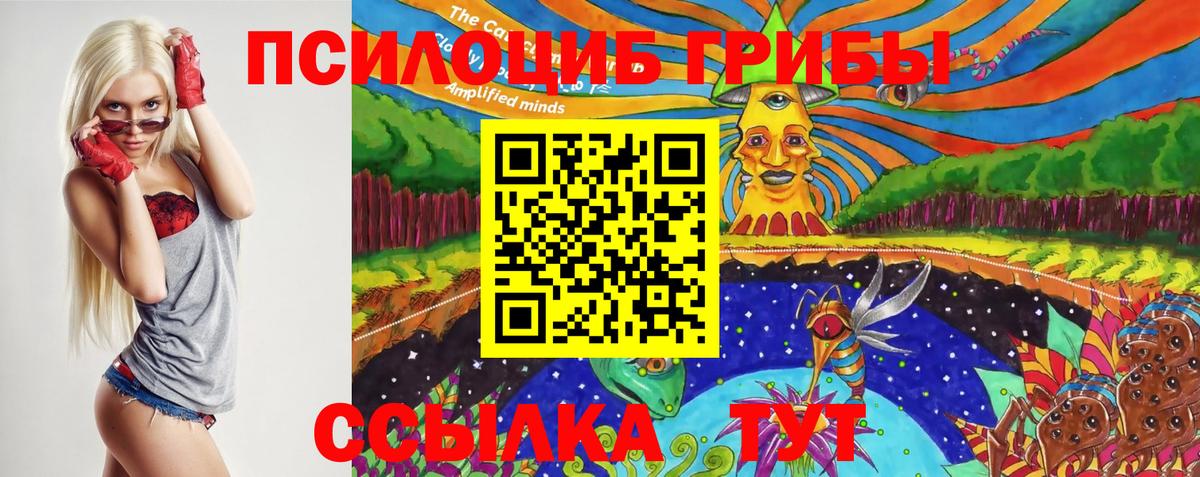 Галлюциногенные грибы MAGIC MUSHROOMS  Вход с VPN  Среднеуральск 