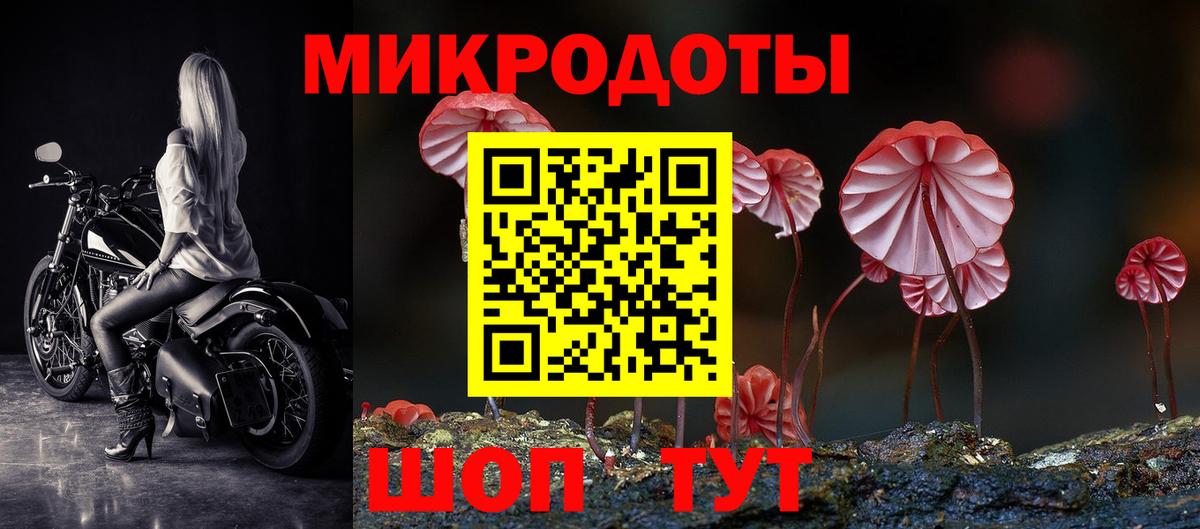Галлюциногенные грибы Psilocybine cubensis Среднеуральск